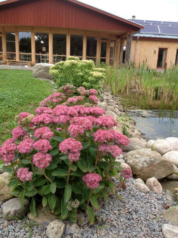 Kontakta Liselotte Abel Bed and Breakfast Vessigebro Esterno foto