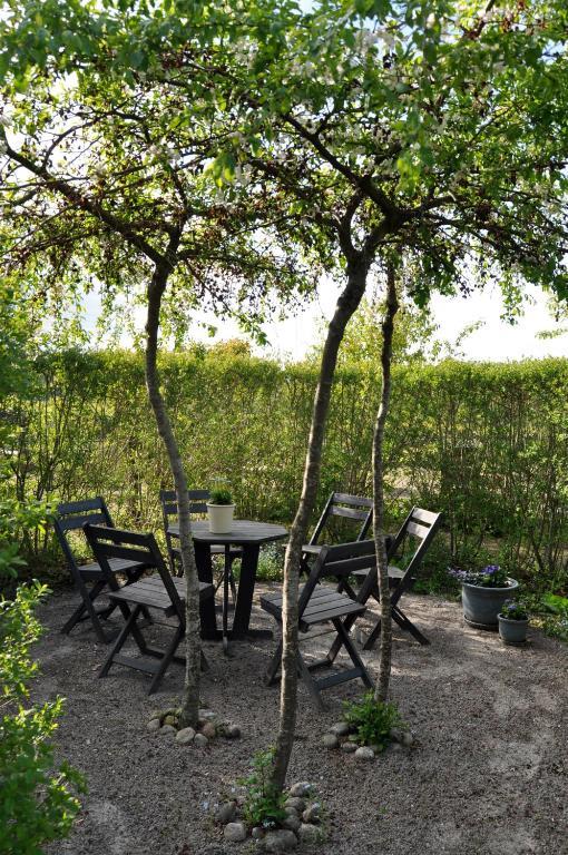 Kontakta Liselotte Abel Bed and Breakfast Vessigebro Esterno foto